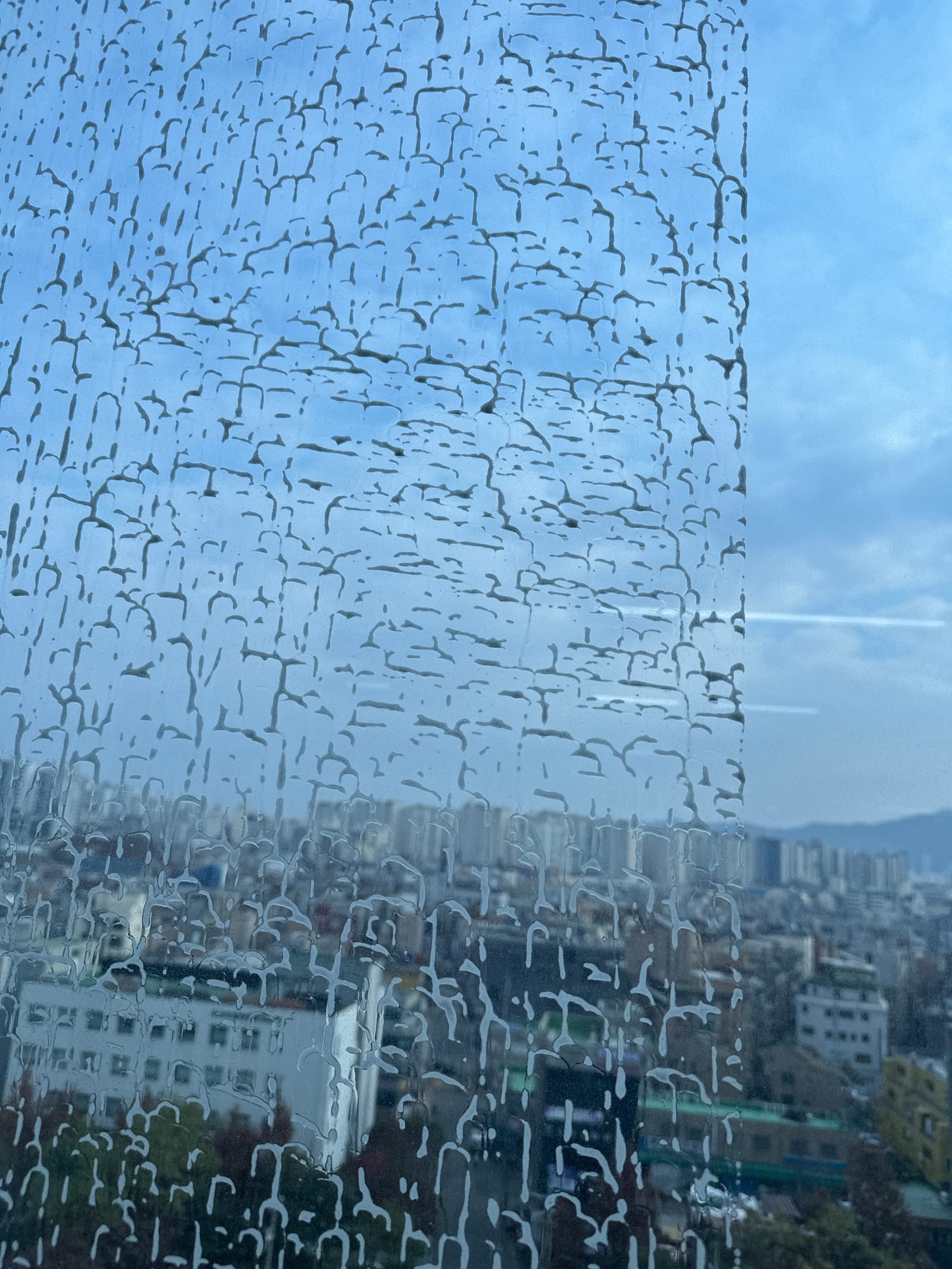 서울 은평구 사무실청소 시공 사진